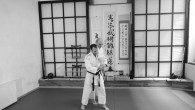 Aikido és Aikibujutsu edzések szeptembertől a Csanády Dojoban (1133 Budapest, Csanády u. 19.) Parkolás a környező utcákban 18-tól térítésmentesen. Kedden és csütörtökön 19:30-21:00, az első alkalom szeptember 1-én. Edzésvezető Sziklai […]